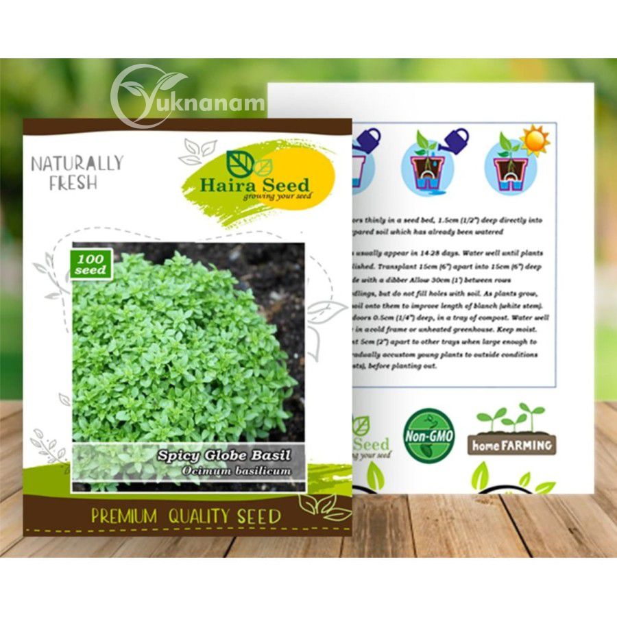Benih Basil Spicy Globe &8211; Haira Seed 