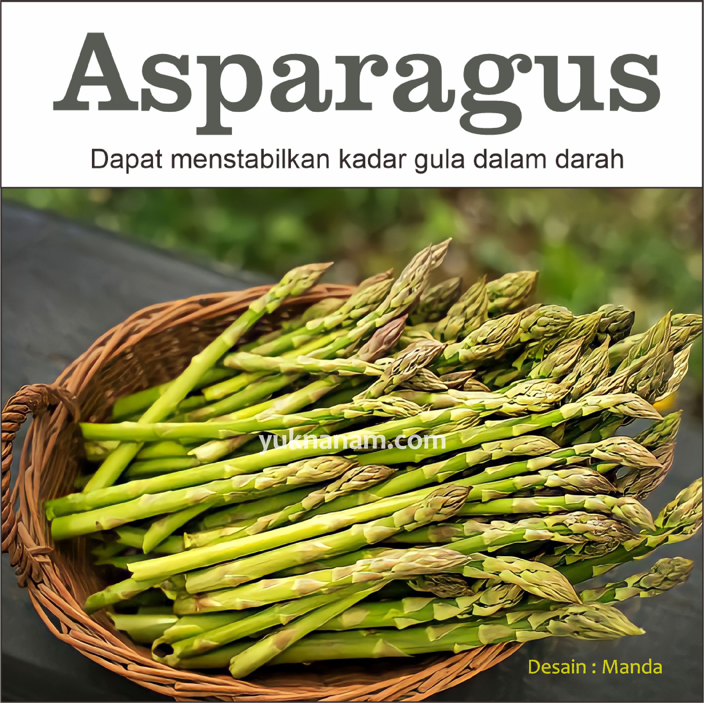Pentingnya Asparagus Bagi Kesehatan Tubuh Anda… | Yuk Nanam