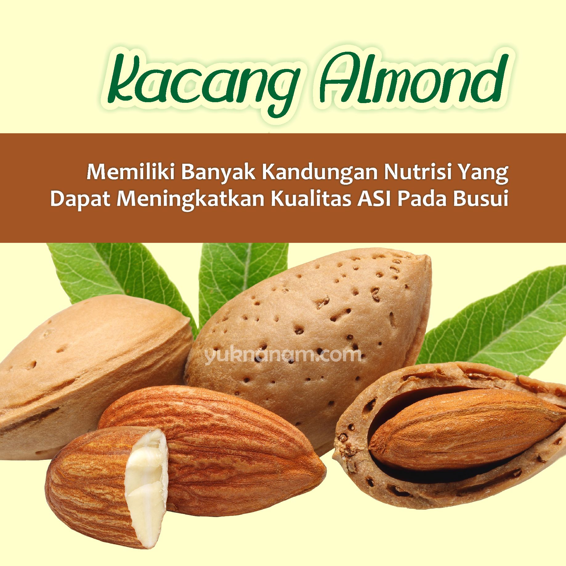 Manfaat Penting Kacang Almond Bagi Busui Hingga Kesehatan Jantung Yuk