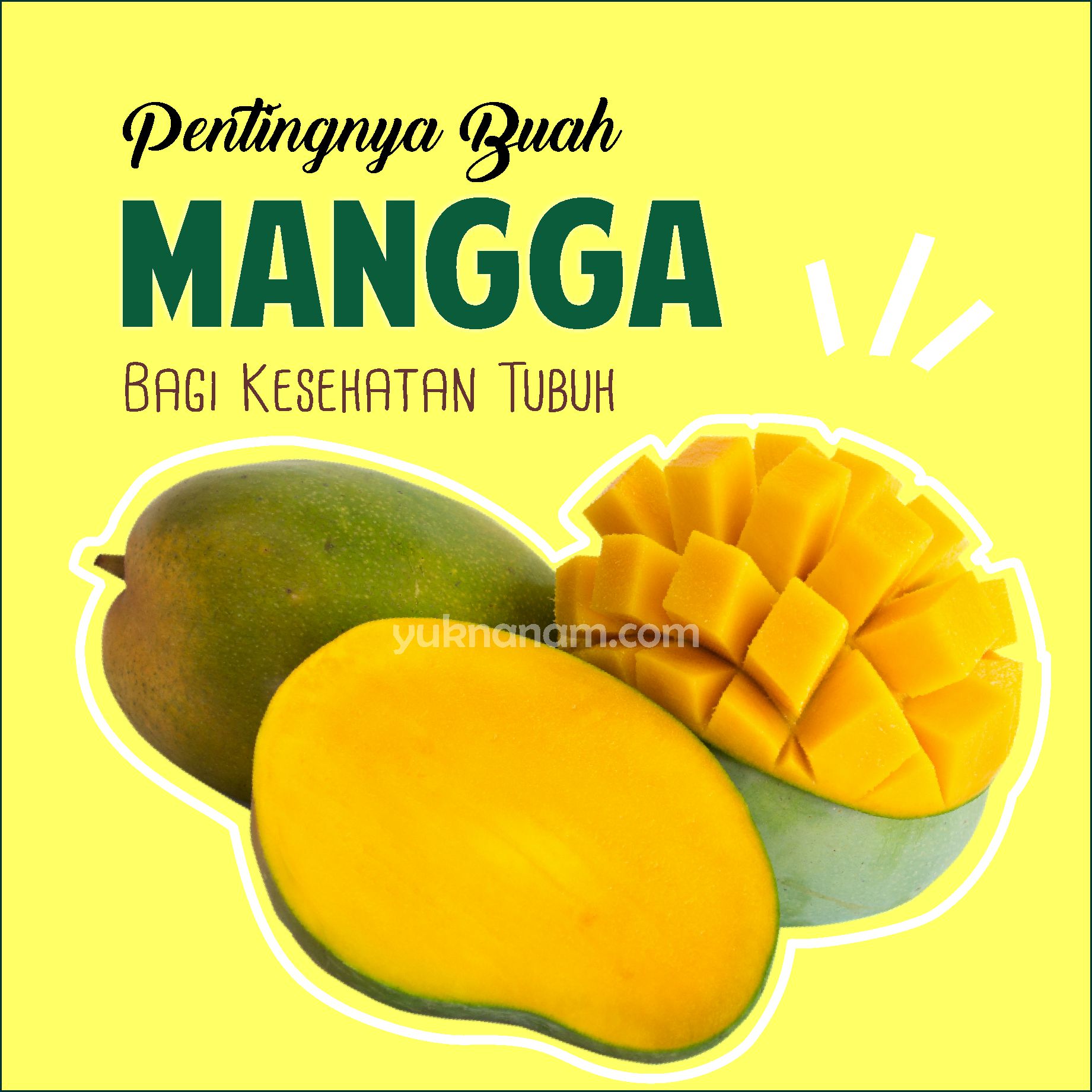 Khasiat Buah Mangga Ini Sangat Penting Bagi Kesehatan Tubuh | Yuk Nanam