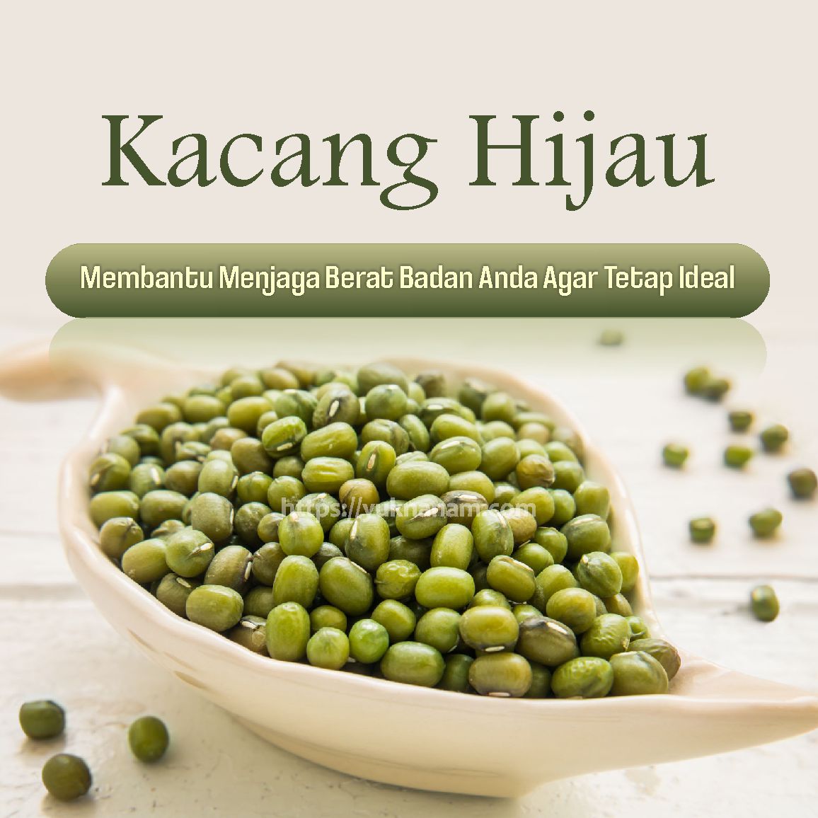 8 Manfaat Kacang Hijau Yang Penting Diketahui Dapat Menurunkan Berat Badan Yuk Nanam 5926